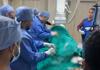 neurovascular-catheterization